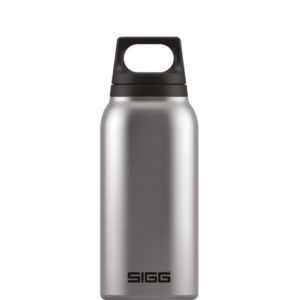 Sigg H& C Brushed 0,3l - Nocolor - OneSize