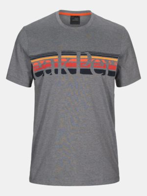 Explore Tee Stripe Print Men Harmaa XXL