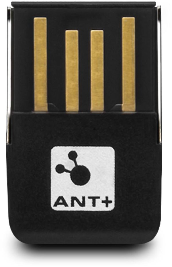 Ant Stick