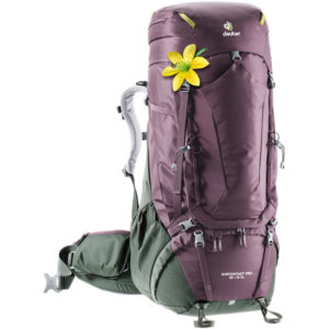 Deuter Aircontact Pro 65 + 15 Sl - Aubergine-ivy - Naiset - OneSize