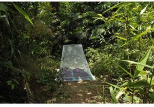 Outdoor Mosquito Net Double Ultralight