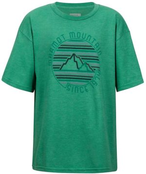 Boys Purview Tee SS Vihreä XL